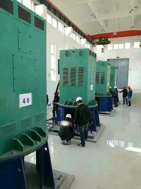 东安某污水处理厂使用我厂的立式高压电机安装现场
