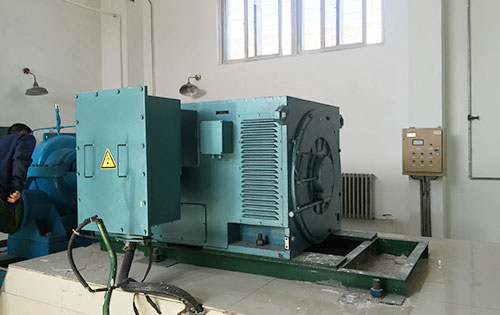 东安某水电站工程主水泵使用我公司高压电机